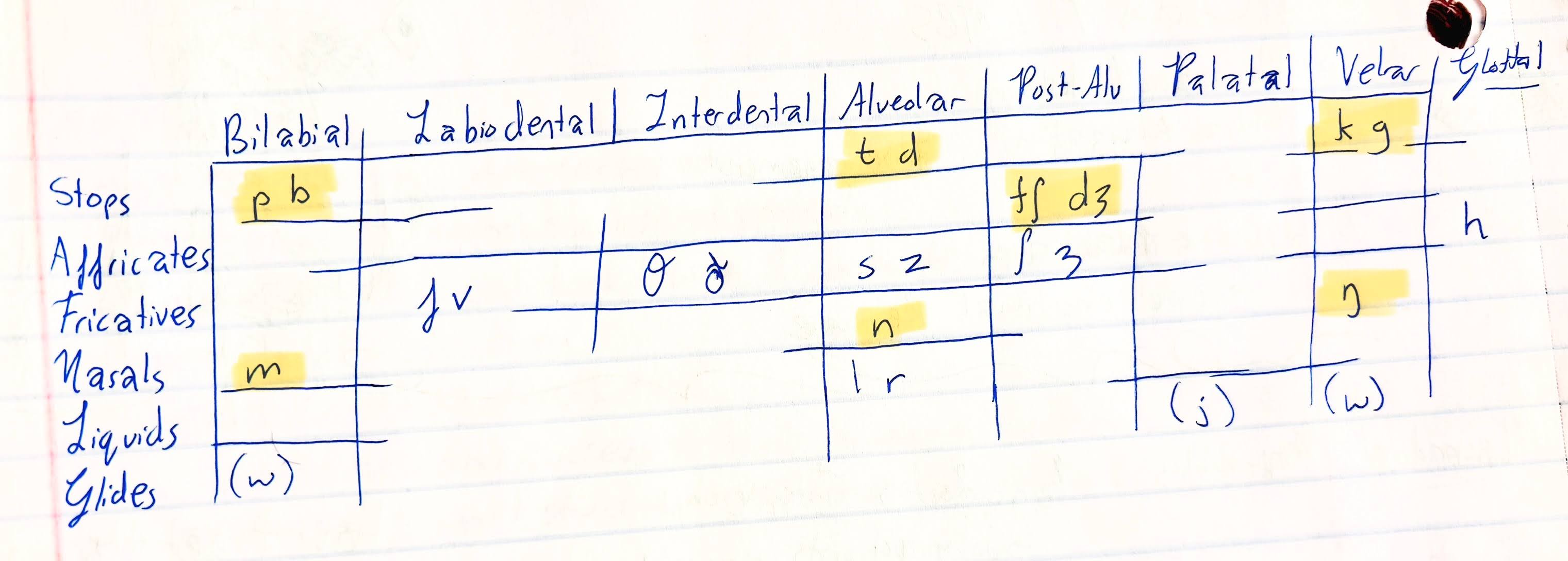 <p>Which natural class defines these sounds?</p>