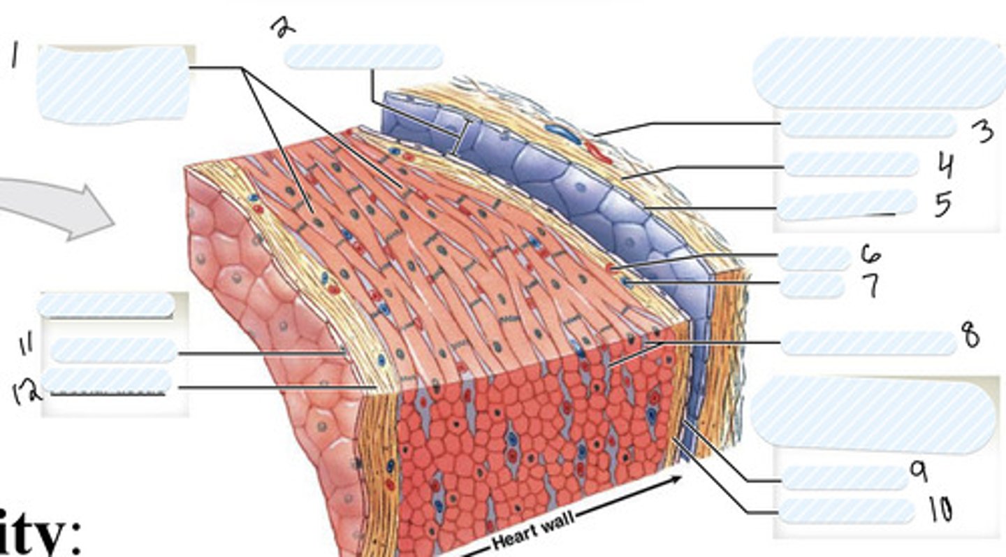 <p>5</p>