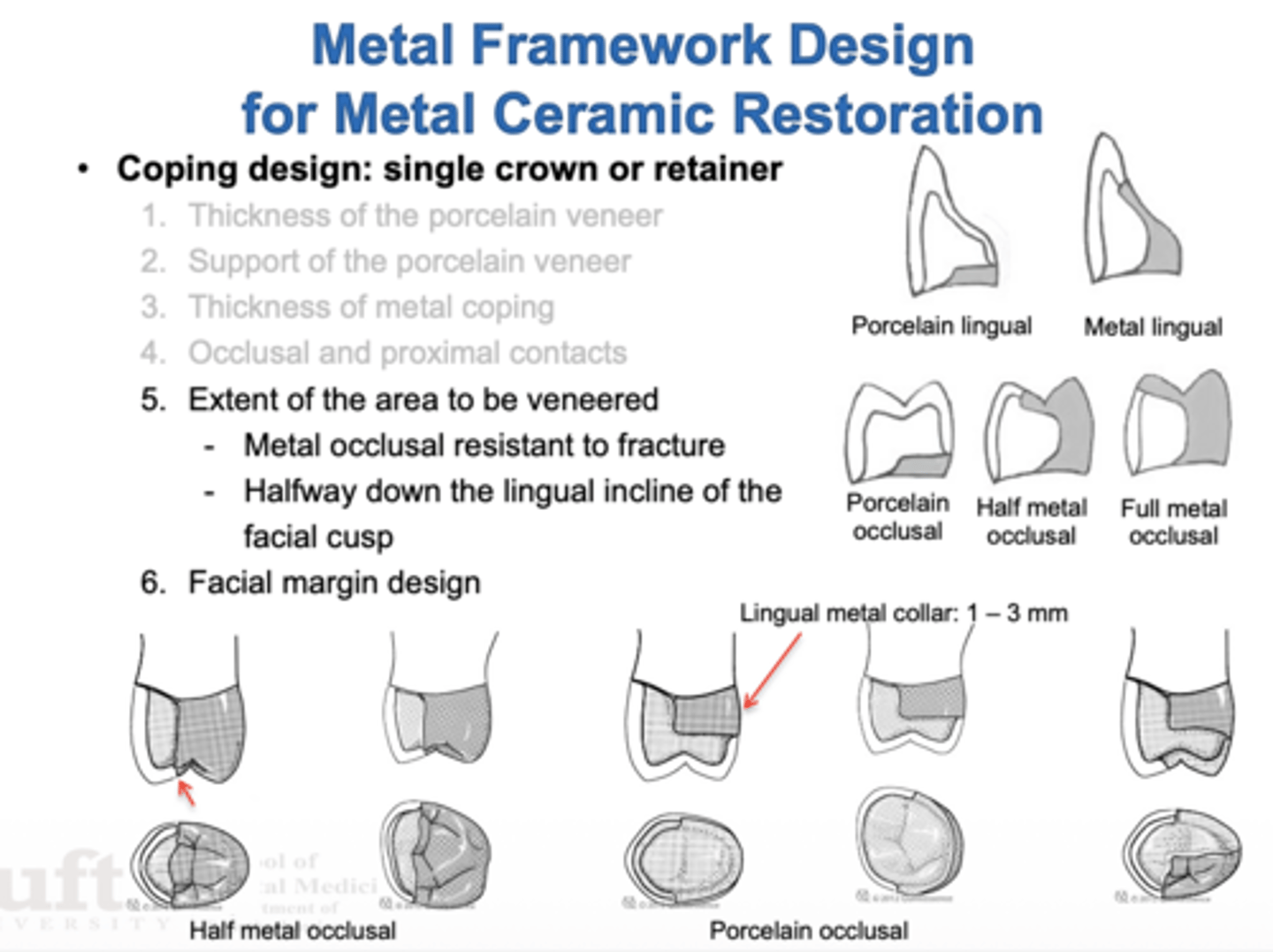 <p>Halfway down the lingual incline of the facial cusp</p>