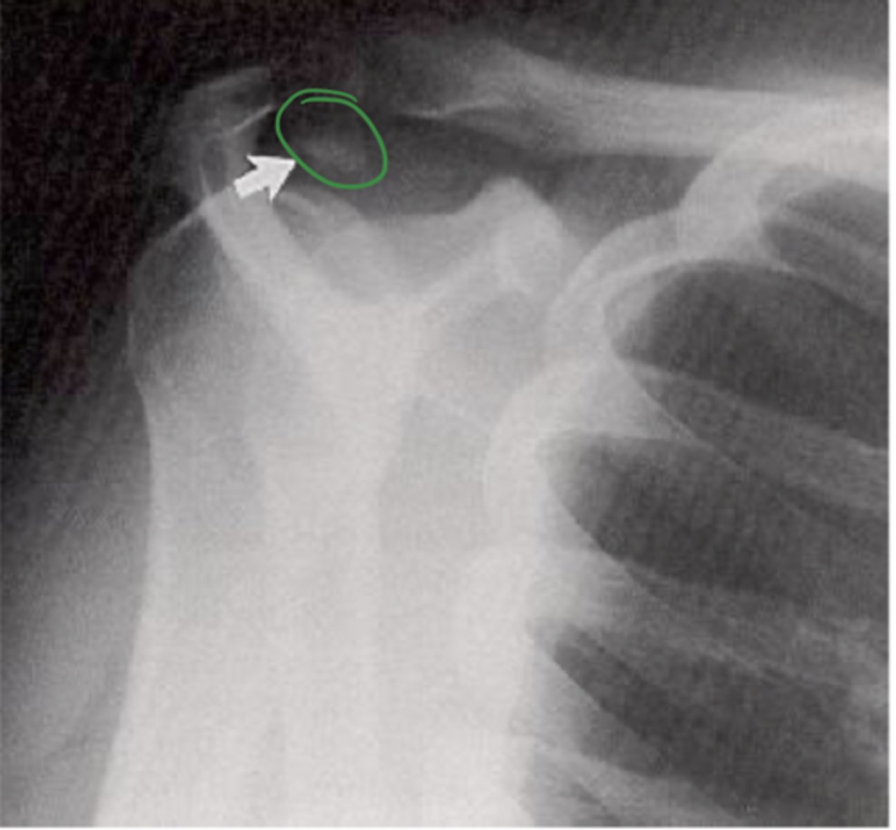 <p>What view does this show?</p>