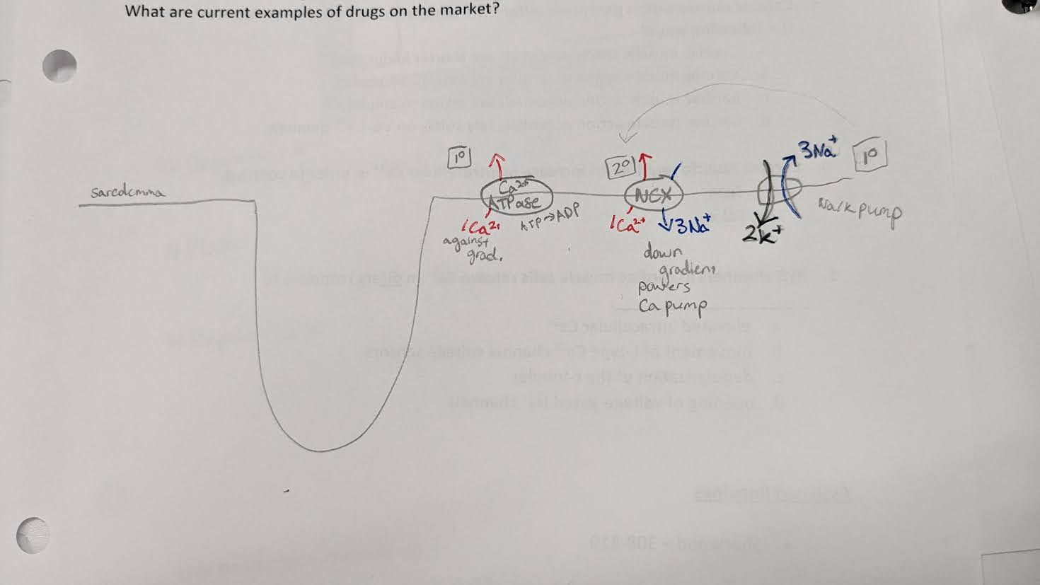 <p>define Calcium-induced calcium release (CICR)</p>