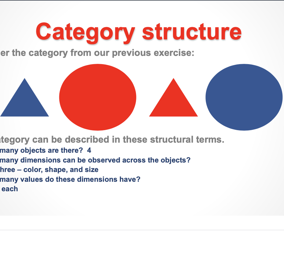<p>Category Structure Example</p>