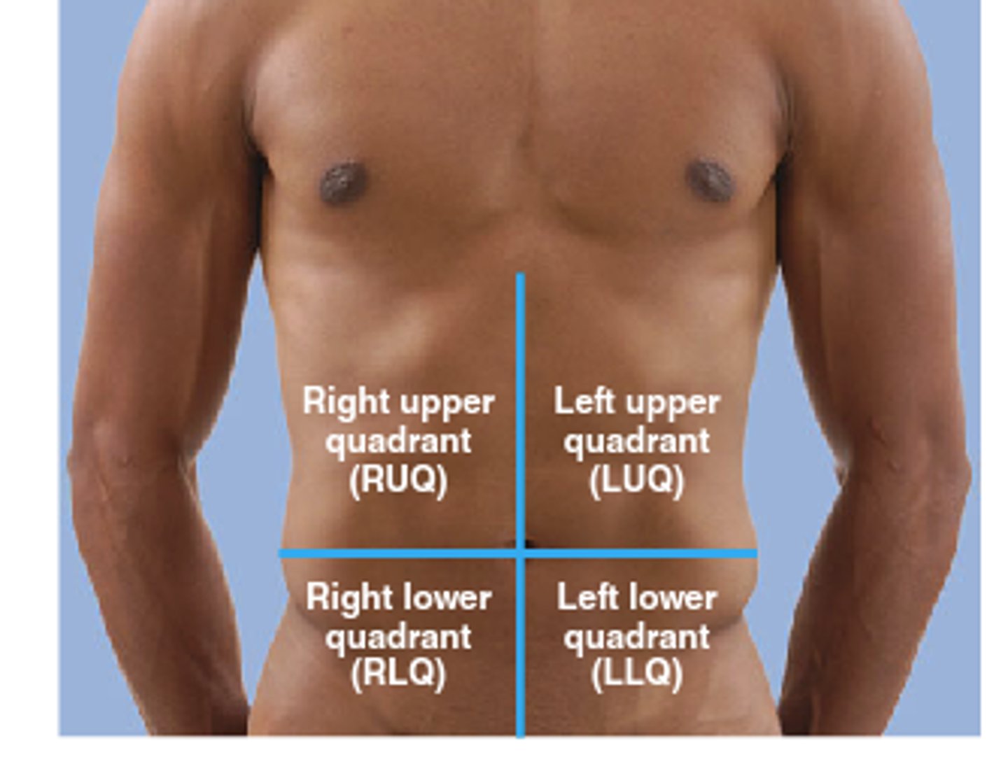 <p>Right upper and left upper quadrants</p><p>Right lower and left lower quadrants</p>