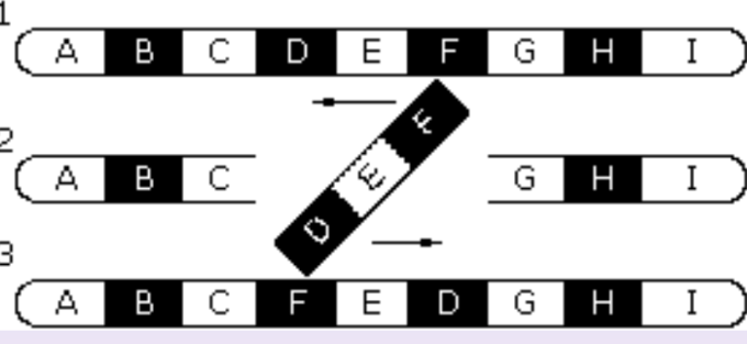 <ul><li><p>A piece of a chromosome <strong>flips its direction</strong></p></li><li><p><u>No DNA lost or gained</u></p></li><li><p>But the <mark data-color="yellow" style="background-color: yellow; color: inherit;">gene</mark> wont be read/ read wrong</p></li></ul><p></p>