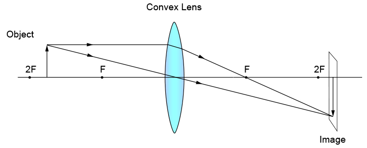 <p><span>What type of image is formed in this diagram?</span></p><p><em><span>Converging Lens - Object between F & 2F</span></em></p>
