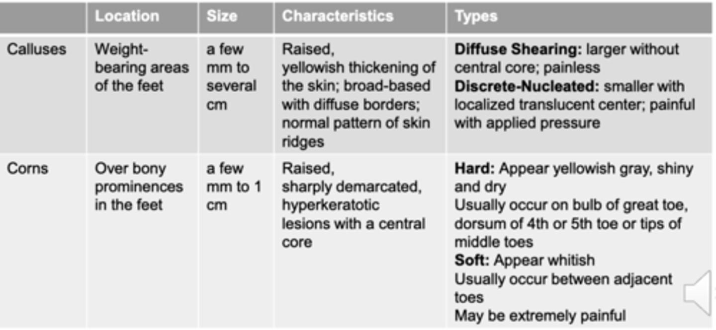 <p>Found on weight-bearing areas of the feet</p><p>-Raised,yellowish thickening of the skin; broad-based with diffuse borders;</p><p>normal pattern of skin ridges</p>