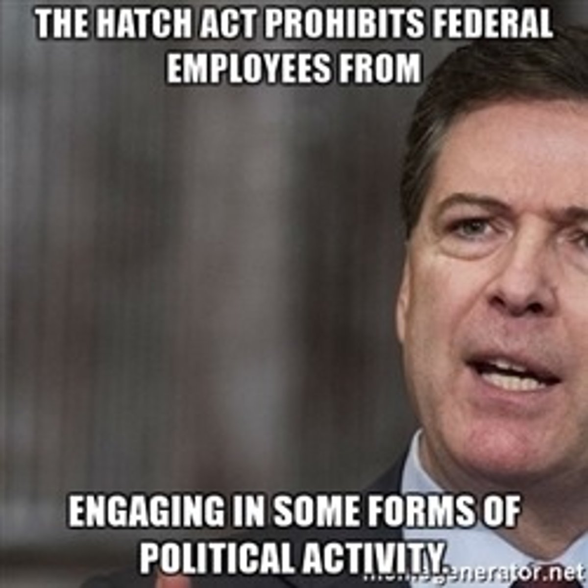 <p>A federal law prohibiting government employees from active participation in partisan politics.</p>