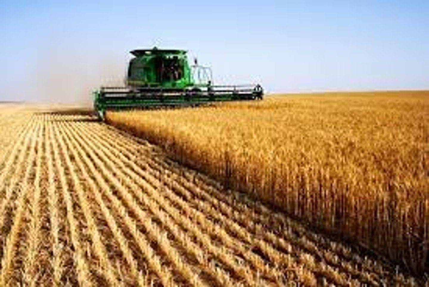 <p>related to farming (thuộc về nông nghiệp). Example: The country's economy depends mainly on agricultural products.</p>