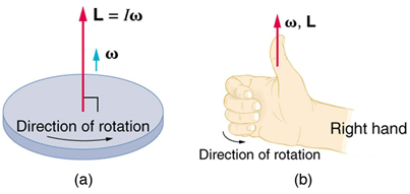 <p>the direction in which the thumb of your right hand points when you curl your fingers in the direction of rotation</p>