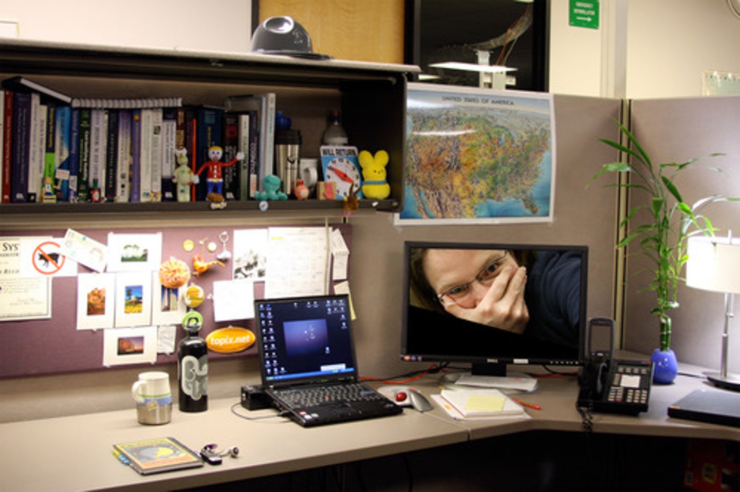 <p>the study of how people and machines interact and the design of safe and easily used machines and environments</p>