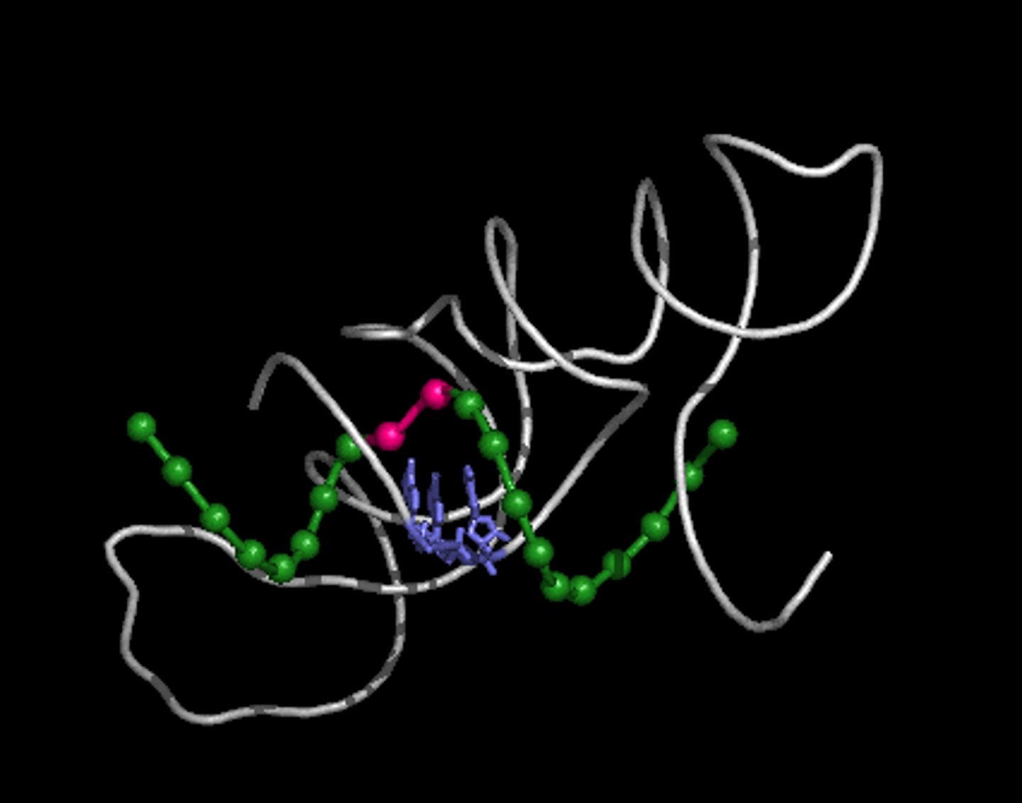 <p>RNA molecules that function as enzymes and can mediate reactions</p><p>they have complex tertiary structures</p><p>condensation of amino acids in the ribosome in polypeptide fromation</p><p>rna splicing</p>