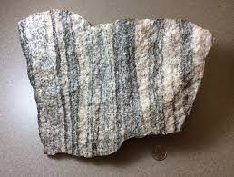 <p><span style="font-family: sans-serif">Metamorphic rock: </span><strong>Gneiss </strong></p><p><strong>Gneiss is a coarse-grained foliated metamorphic rock that displays alternating bands of light and dark minerals, formed from high-grade metamorphism. The light minerals are typically interlocking crystals of quartz and feldspar, while the dark bands are made of mafic minerals and often display a preferred orientation.</strong></p><p><strong>Gneiss has large, interlocking crystals which are easily visible to the naked eye. The crystals are arranged in alternating bands or lenses of light and dark minerals. The bands run parallel to one another and can sometimes appear wavy. Larger crystals of metamorphic minerals like garnet and kyanite may be present.</strong></p><p> <br><br></p>