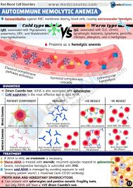 <p>Warm AIHA(IgG) Cold AIHA(<span style="font-family: Aptos, sans-serif; line-height: 115%;"><strong><span>IgM with complement)</span></strong></span></p>