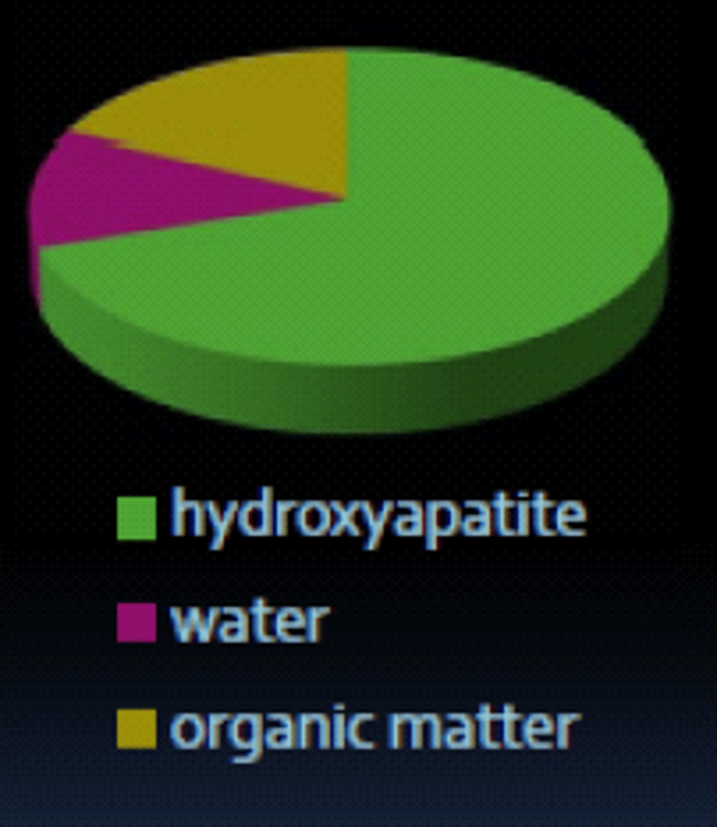 <p>what is this graph describing?</p>