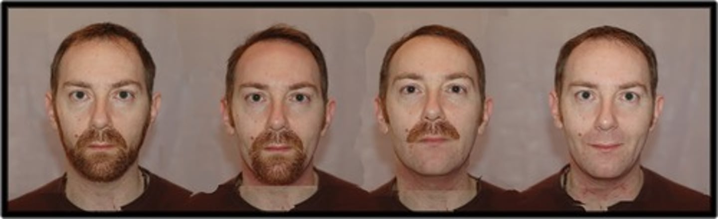 <p>ngoại hình</p>