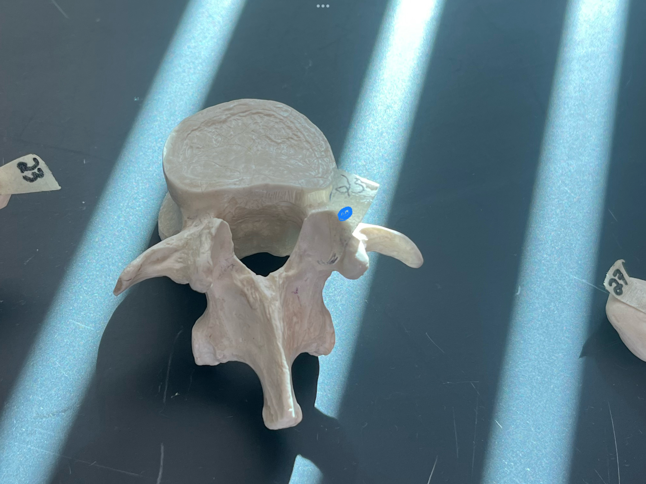 term image