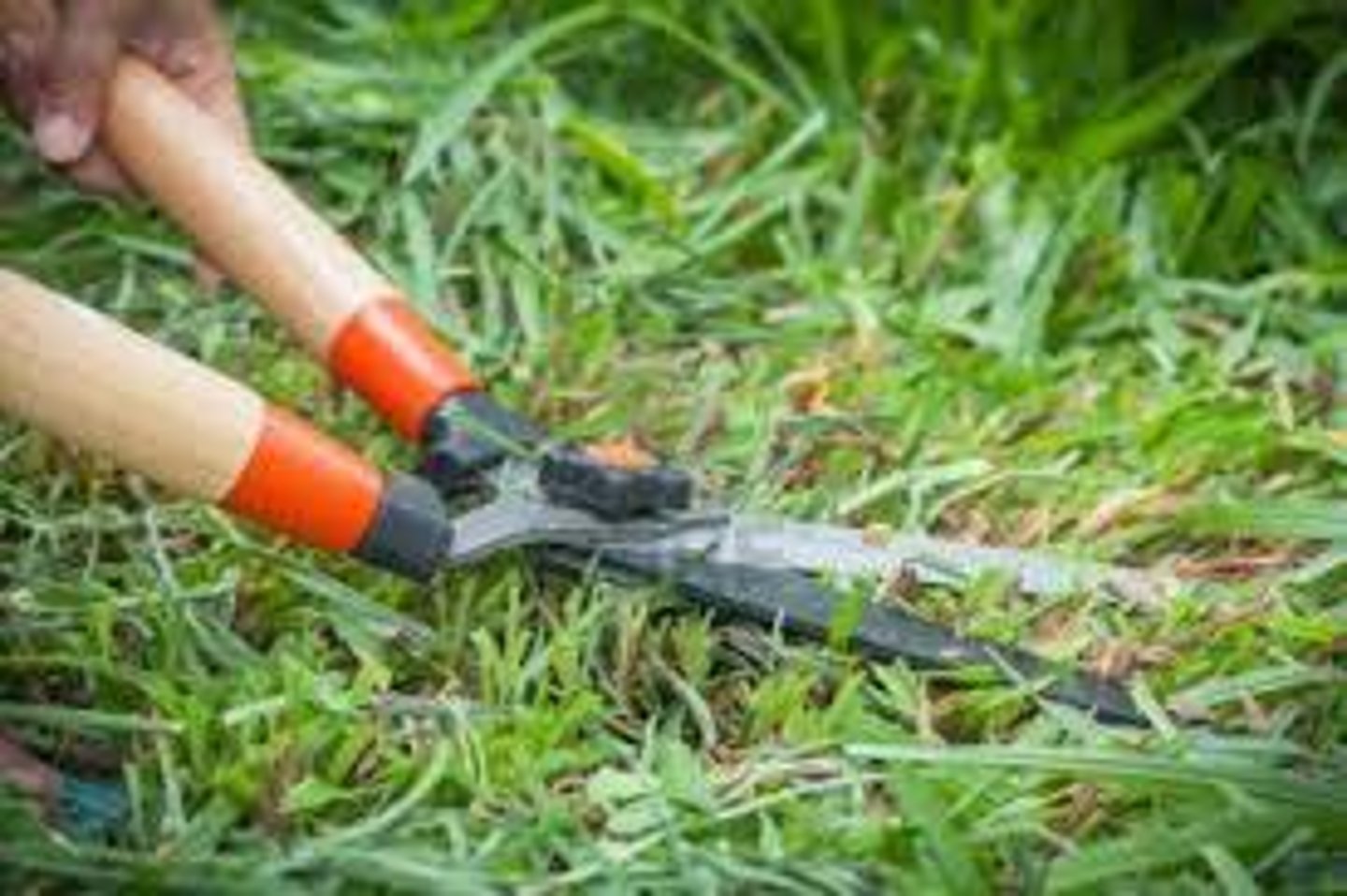 <p>to cut the grass</p>