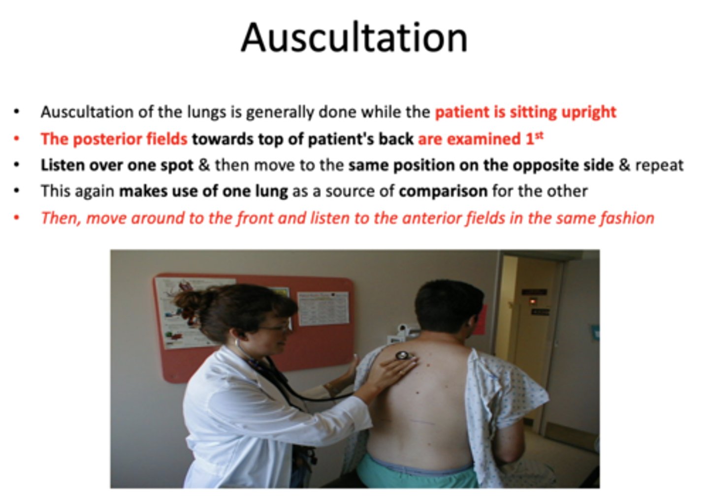 <p>posterior</p>