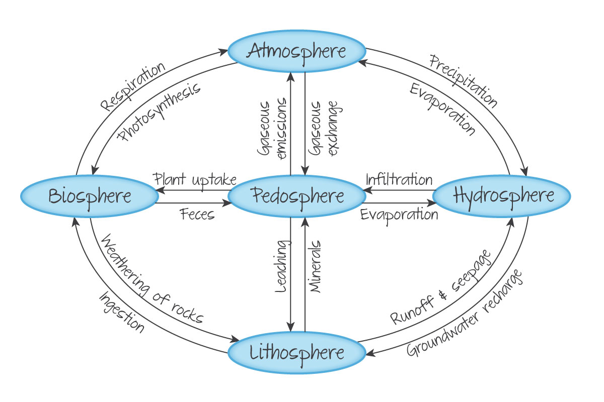 <p>Systems Diagram</p>