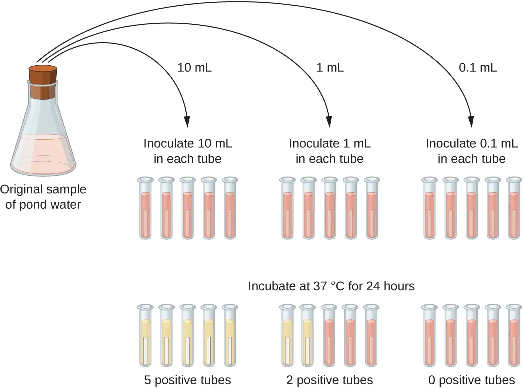 <ul><li><p>water sample is filtered through a membrane filter (0.45μm)</p></li><li><p>membrane filter is removed and placed in a plate containing appropriate medium</p></li><li><p>plate is incubated for 24 hours</p></li></ul><p></p>