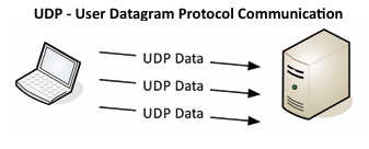 <p>TCP and UDP</p>