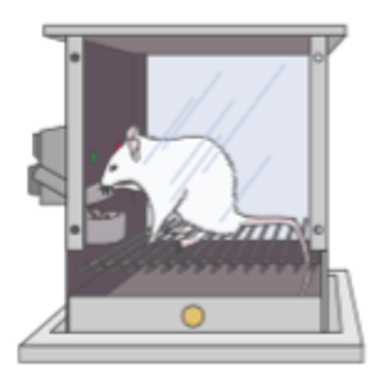 <p>The perspective that a disorder exists because maladaptive learned associations, acquired via classical conditioning, reinforcement of behavior, or through observational learning.</p>