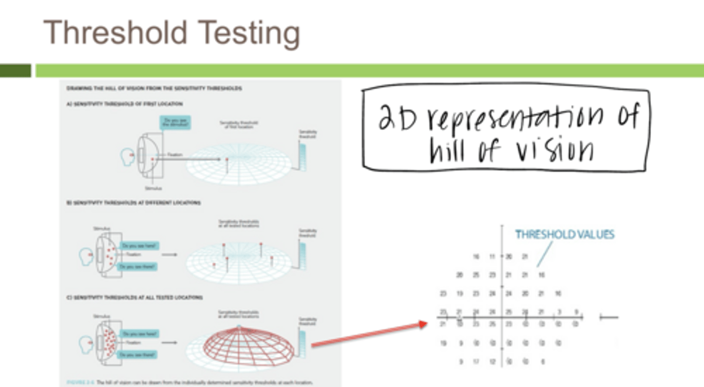 <p>Threshold Values on VF Analysis is a 2D representation of what?</p>