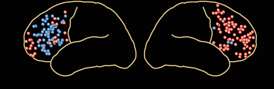<p>this model says retrieval of episodic memories is a mostly in the right hemisphere whereas the left was involved in encoding episodes and retrieving semantic information</p>