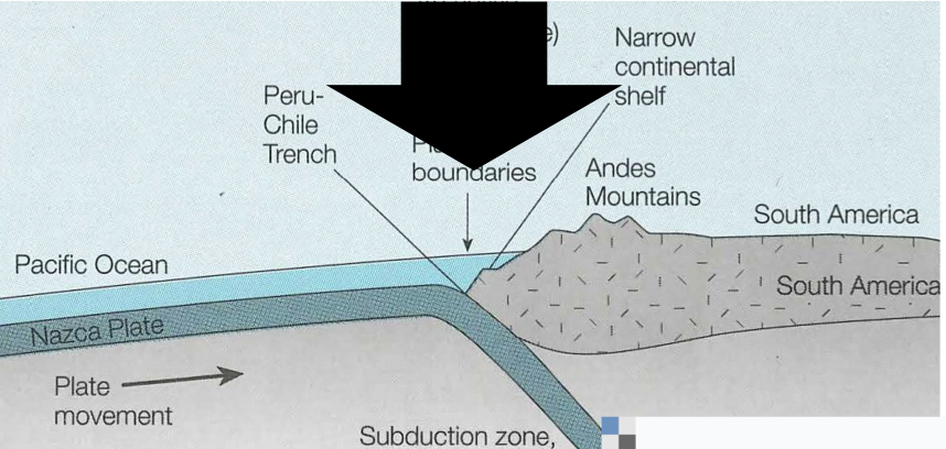 What kind of continental margin is pictured?