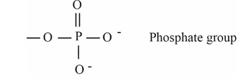 <p></p>