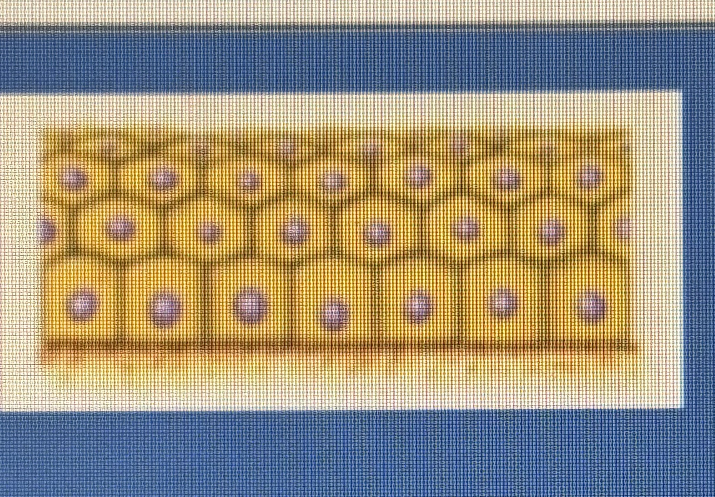 <p>what type of layer is this?</p>