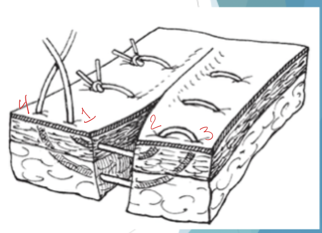 <p>What is shown here?</p>