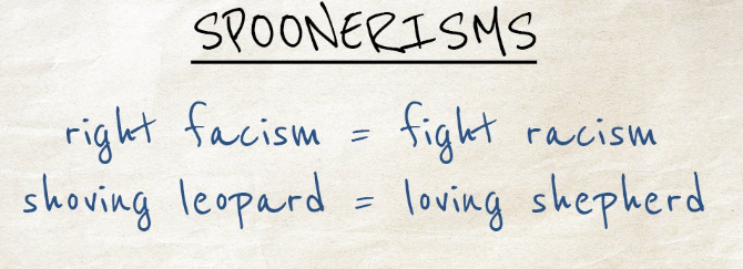 <p>Spoonerisms </p>