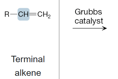<p>What is the product of the reaction between terminal alkene and Grubb’s catalyst?</p>