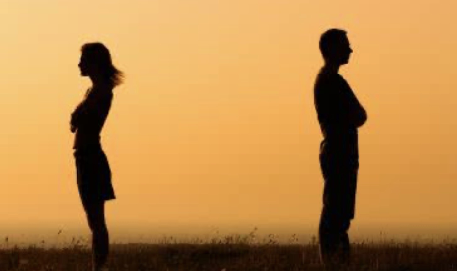 <p>He brings</p><p>He brings his bag to school</p>