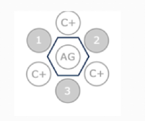 <p>Line is formed surrounding the control antigen in the middle well</p>