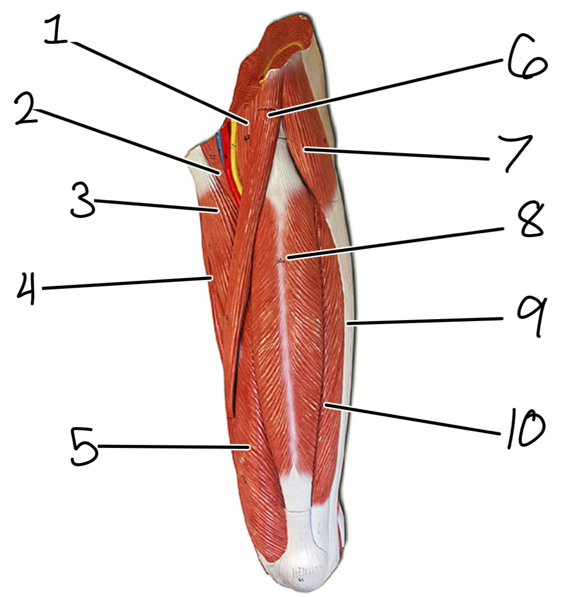 <p>6</p>