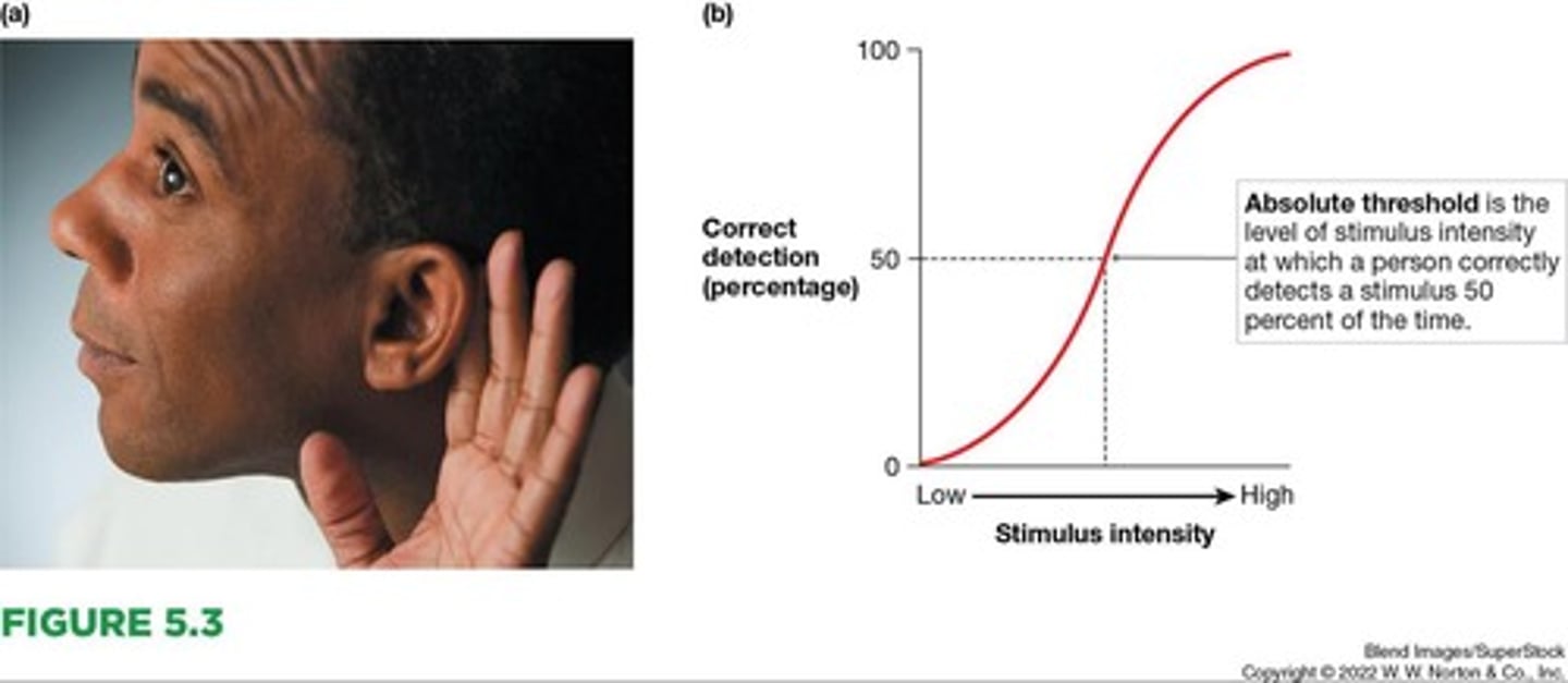 <p>The smallest amount of physical stimulation required to detect a sensory input half of the time it is present.</p>