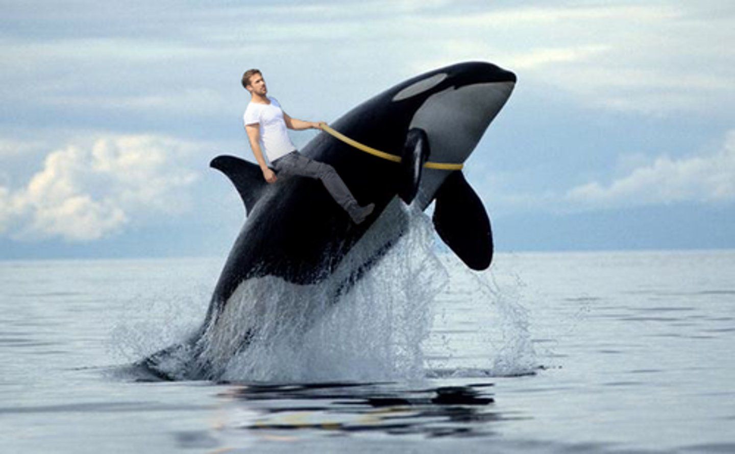 <p>(adj.) bold, adventurous, recklessly daring</p>