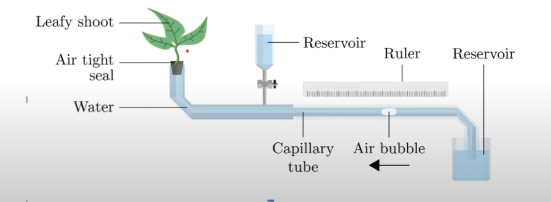 <p>Rate of transpiration</p>
