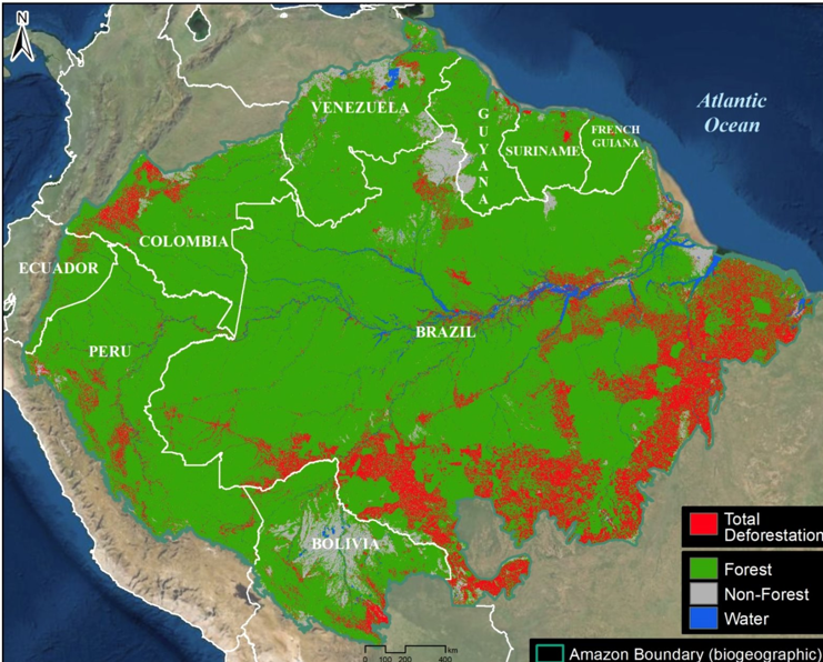 <ul><li><p>~50,000 species become extinct each year due to deforestation</p></li><li><p>60M indigenous people worldwide depend on forests for their livlehoods</p></li><li><p>deforestation accounts for ~10% of global emissions</p></li></ul><p></p>
