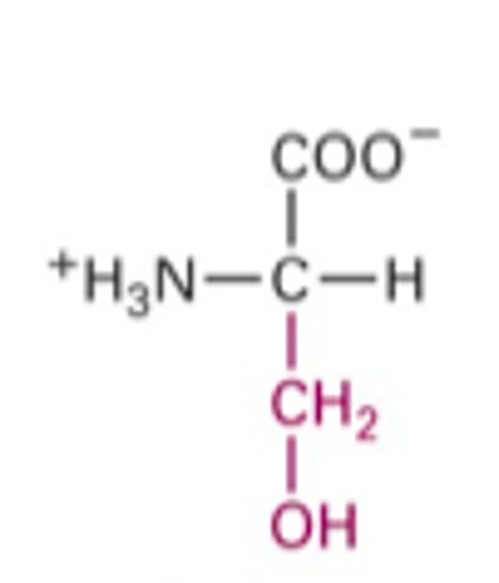 <p>What Structure is this?</p>