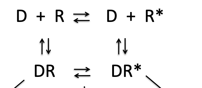 <ul><li><p>hypothesis 1 = stabilize DR form so there is a <u>mixture</u> of DR (inactive) and DR* (active forms)</p></li><li><p>hypothesis 2 = receptors may have <strong>multiple DR* conformations</strong>; each with a <u>different</u> intrinsic activity</p></li><li><p>hypothesis 3 = receptor may require a ‘<u>priming</u>’ change BEFORE activation → partial agonist may be <u>less efficient</u> at inducing primed conformation</p></li></ul><p></p>