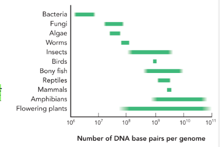 <p>groups of organisms </p>