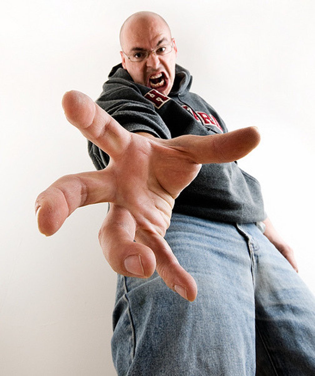 <p>I take, catch, capture</p>