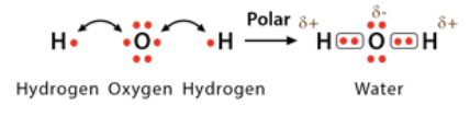 <p><span>electrons are </span><strong><span>unequally</span></strong><span> shared between two atoms which causes one atom to be slightly </span><strong><span>negative</span></strong><span>, and one to be slightly </span><strong><span>positive</span></strong></p>