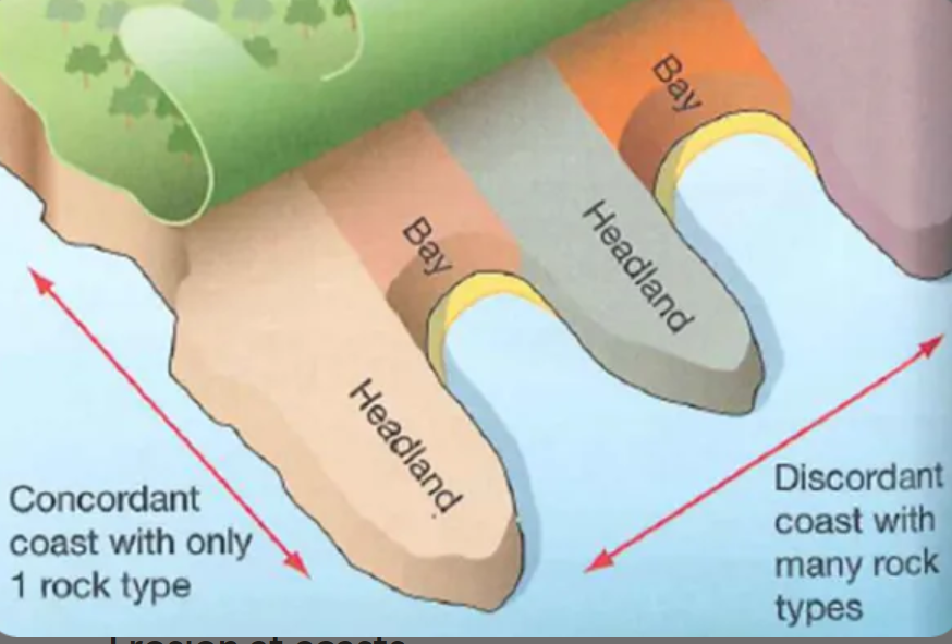 <p>bands of rock type run perpendicular to the coast</p><p>differing erosion speeds between softer &amp; harder rock leads to the formation of headlands &amp; bays</p>