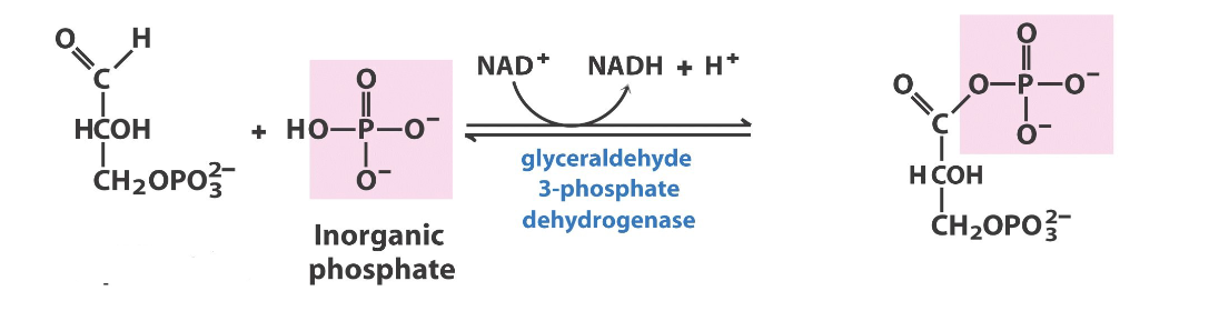 <p>what step in glycolysis, what react/prod</p>