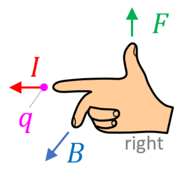 <ul><li><p>duim; F</p></li><li><p>middelvinger; B</p></li><li><p>I of v; wijsvinger</p></li></ul><p></p>