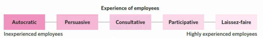 <p>Refers to the degree to which staff have experience resulting in high expertise, capabilities and skills</p><p class="MsoListParagraph"><span>o</span><span style="font-size: 7pt; font-family: &quot;Times New Roman&quot;;">&nbsp;&nbsp; </span><em>Experienced/inexperienced workforce?</em></p>